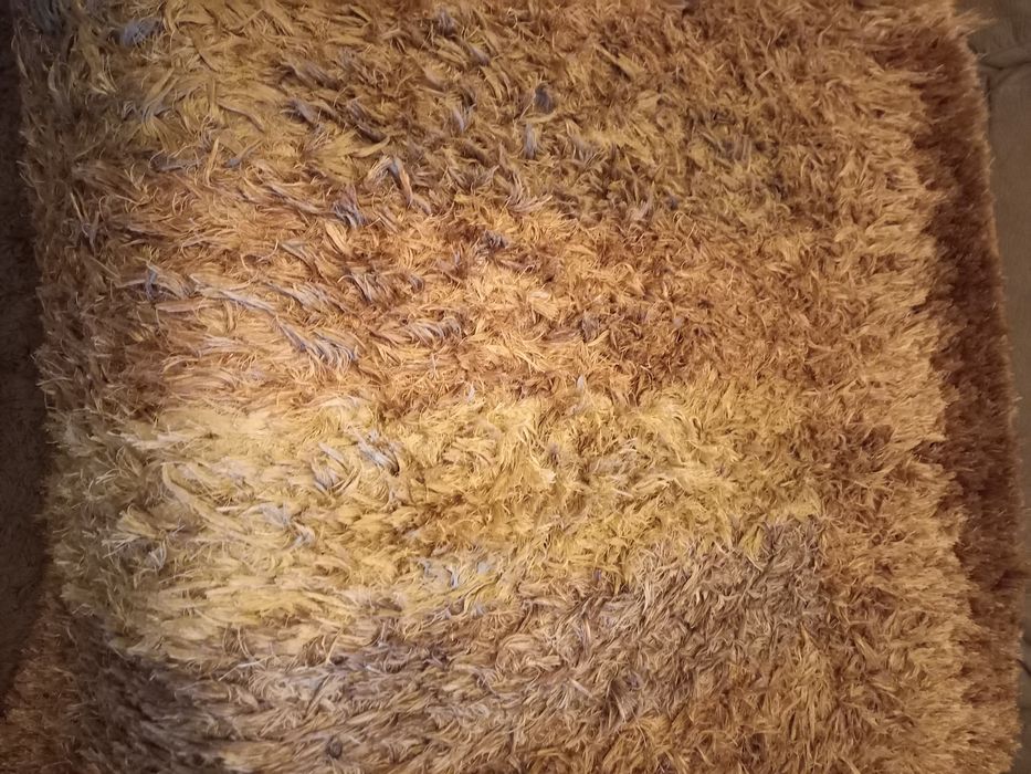 Carpete de sala  em tom de camel e castanho