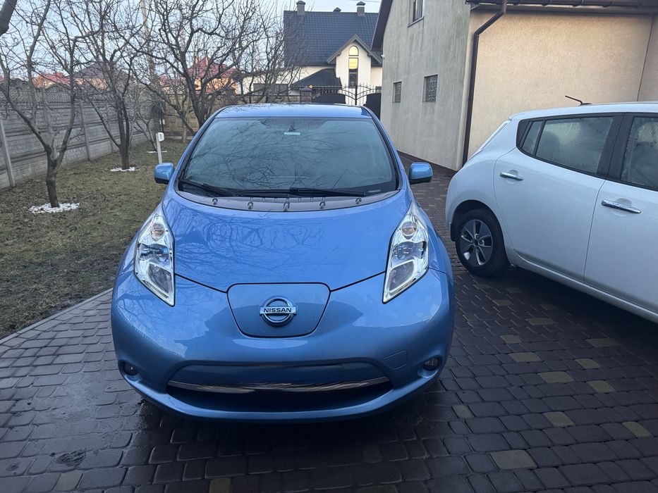 Двері Ліф , двері Nissan Leaf , дверь Leaf