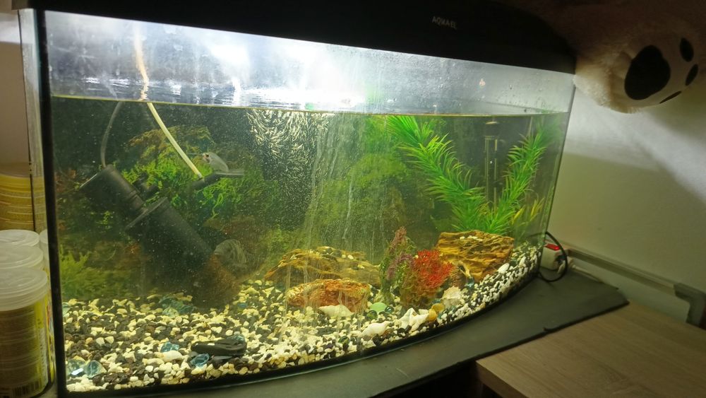 Akwarium Aquaell 120L+ bardzo dużo dodatków