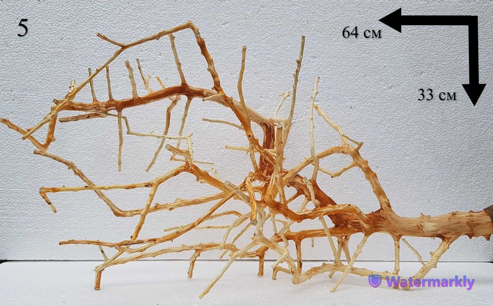 Акваріумні коряги