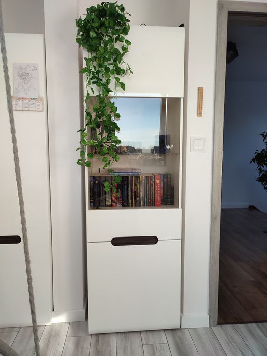 Witryna szklana Azteca trio ze szkłem szafa