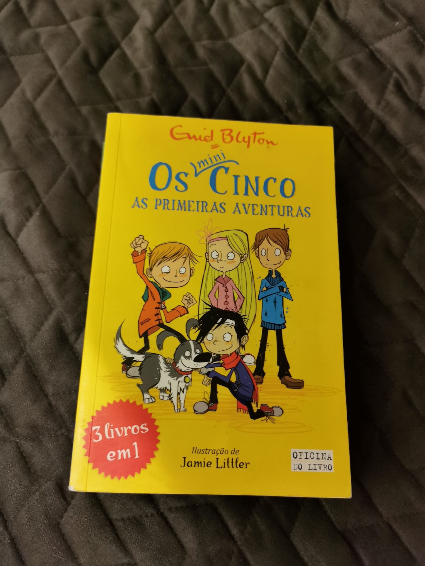 Os Mini Cinco as primeiras aventuras