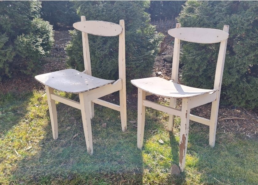 Krzesła projektu Maria Chomentowska.
