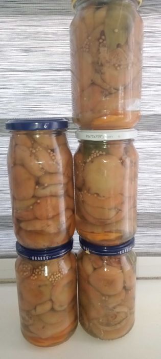 Rydze marynowane 5× 400 ml