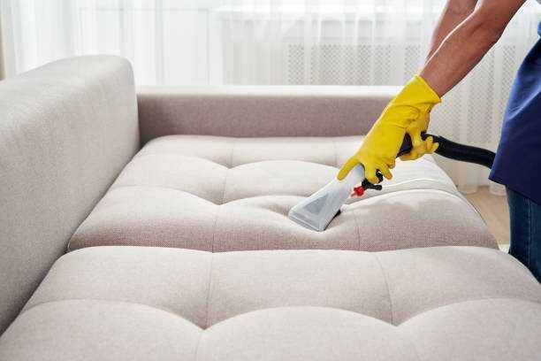 Limpeza e higienização: carpetes,  colchões, sofás, estofos automóvel