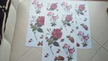 Conjunto de autocolantes Rosas e Frutos