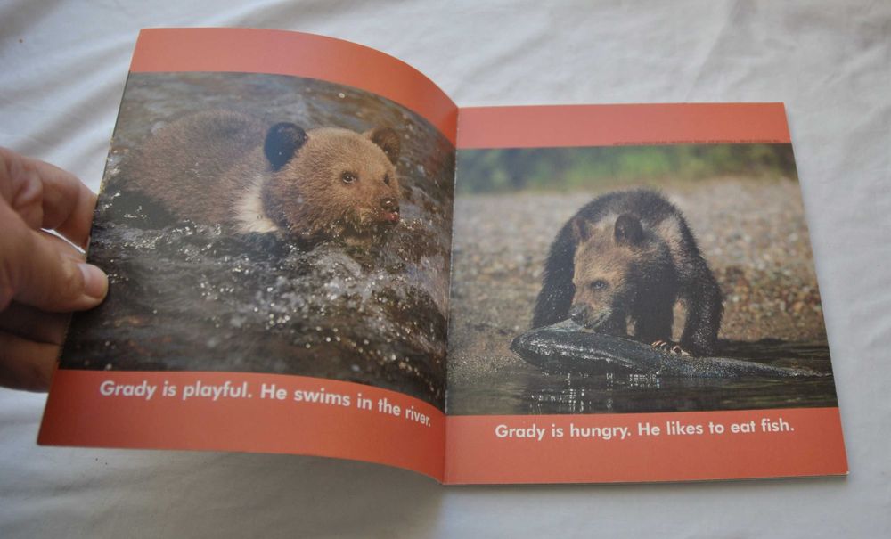 Wild Animal Baby - po angielsku książeczka