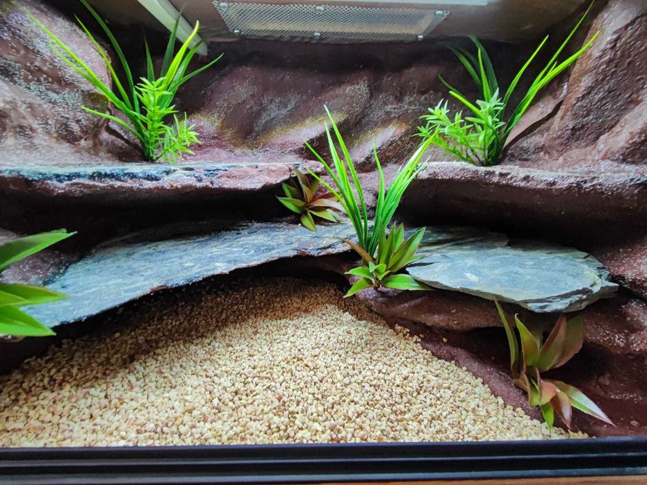 Terrarium pustynne nr645 60/40/40 dla gekona lamparciego NA ZAMÓWIENIE