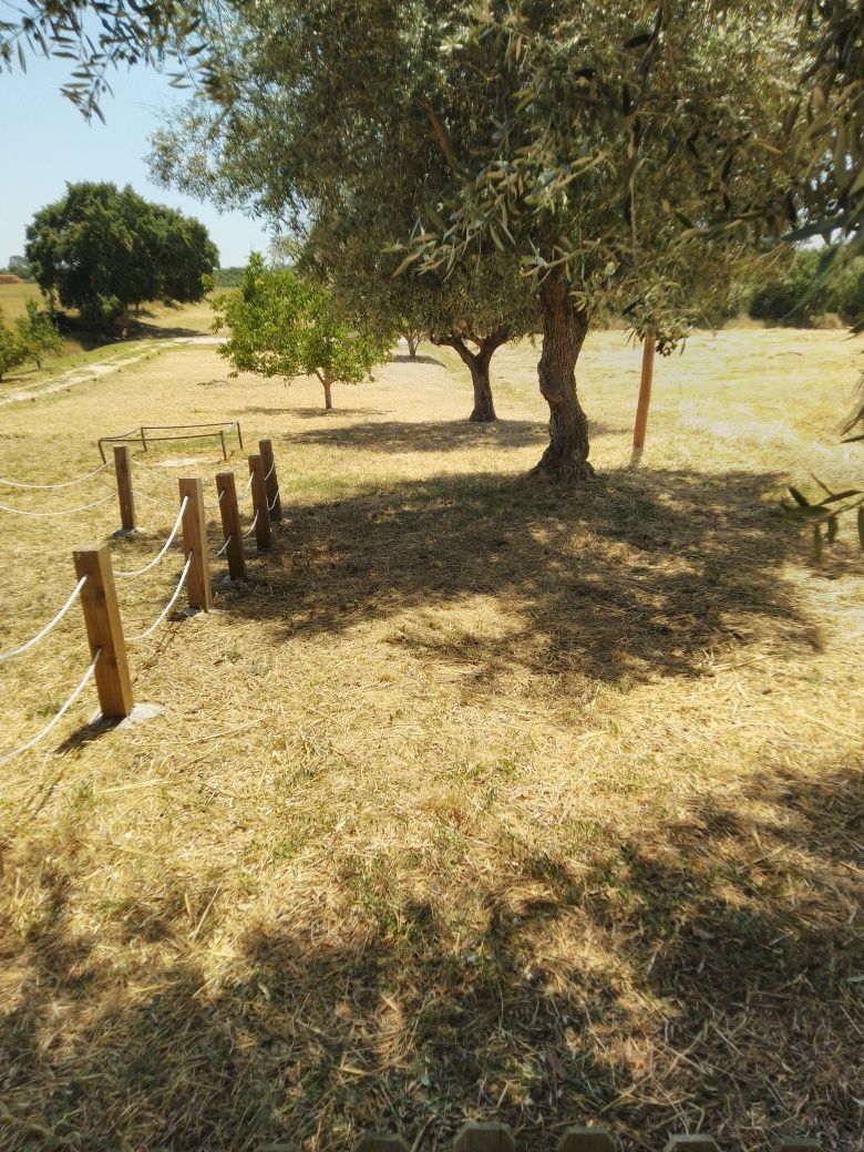 Limpeza de terrenos