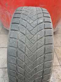 Opona 215/55r17 98h Delinte Winter WD6 pojedyncza  1 szt zima