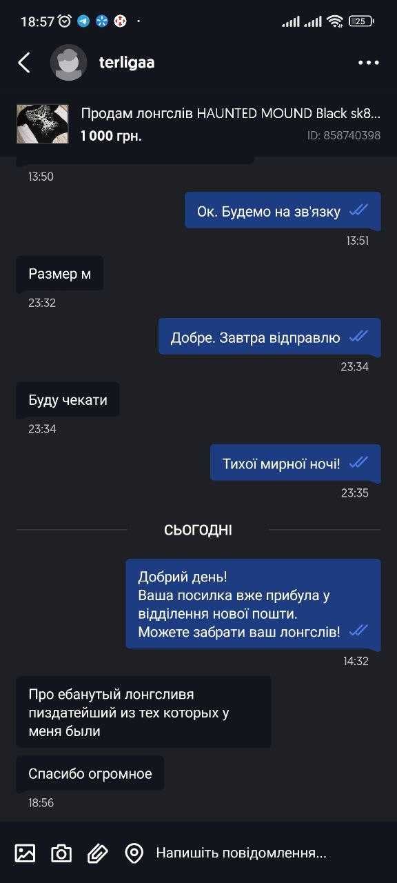 Лонгслів HAUNTED MOUND affliction sk8 Y2K