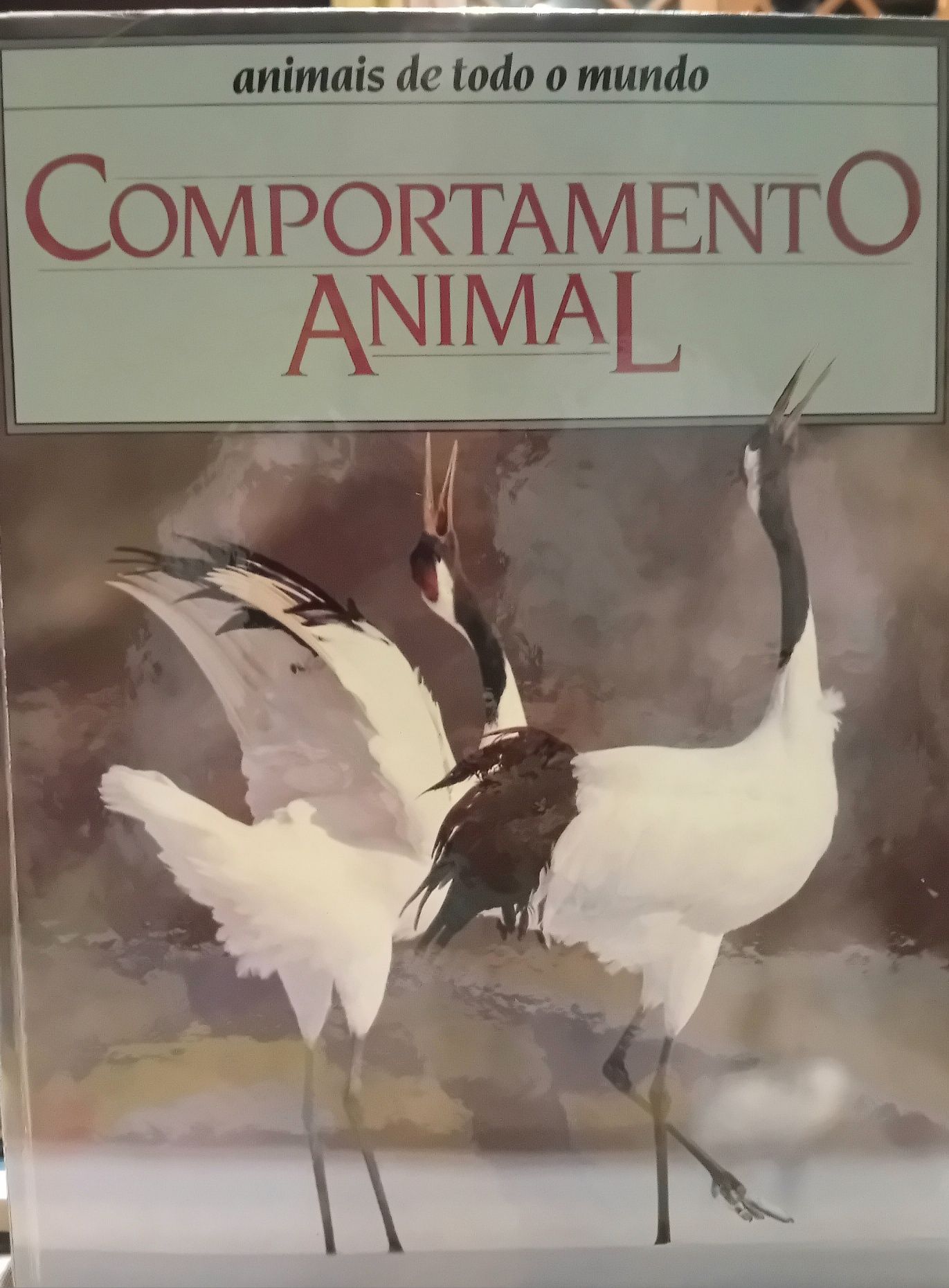 Animais de todo o mundo