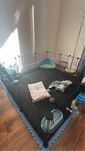 2 świnki morskie i klatka modułowa + dodatki
