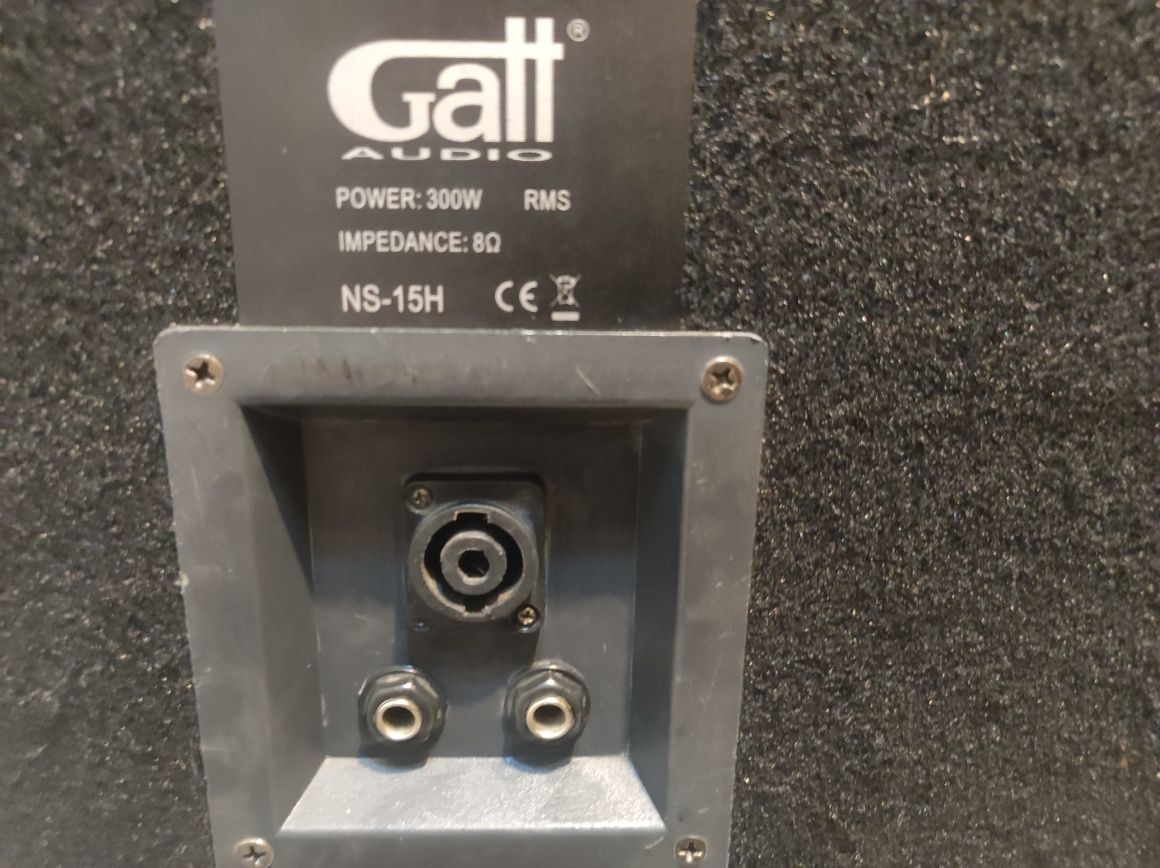 Głośniki pasywne GATT Audio 300w RMS  15"