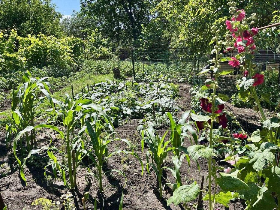 Продаж  просторого будинку Універмаг 44 квартал