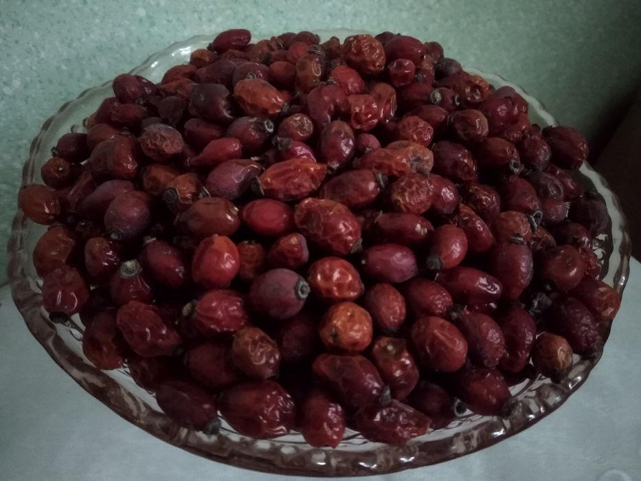 Шиповник домашний, сушёный, экологически чистый