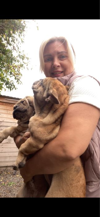 Хлопчик і дівчинка шукають батьків