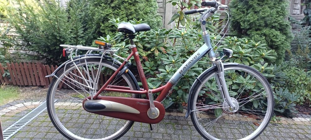 Rower Batavus Sparta damka