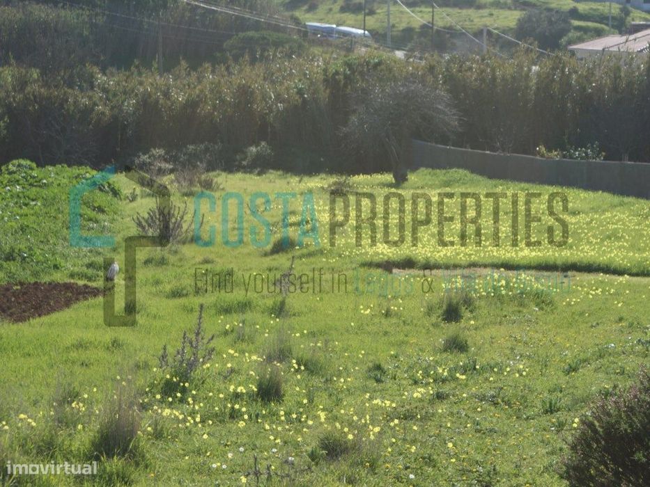 Terreno Rústico na Raposeira