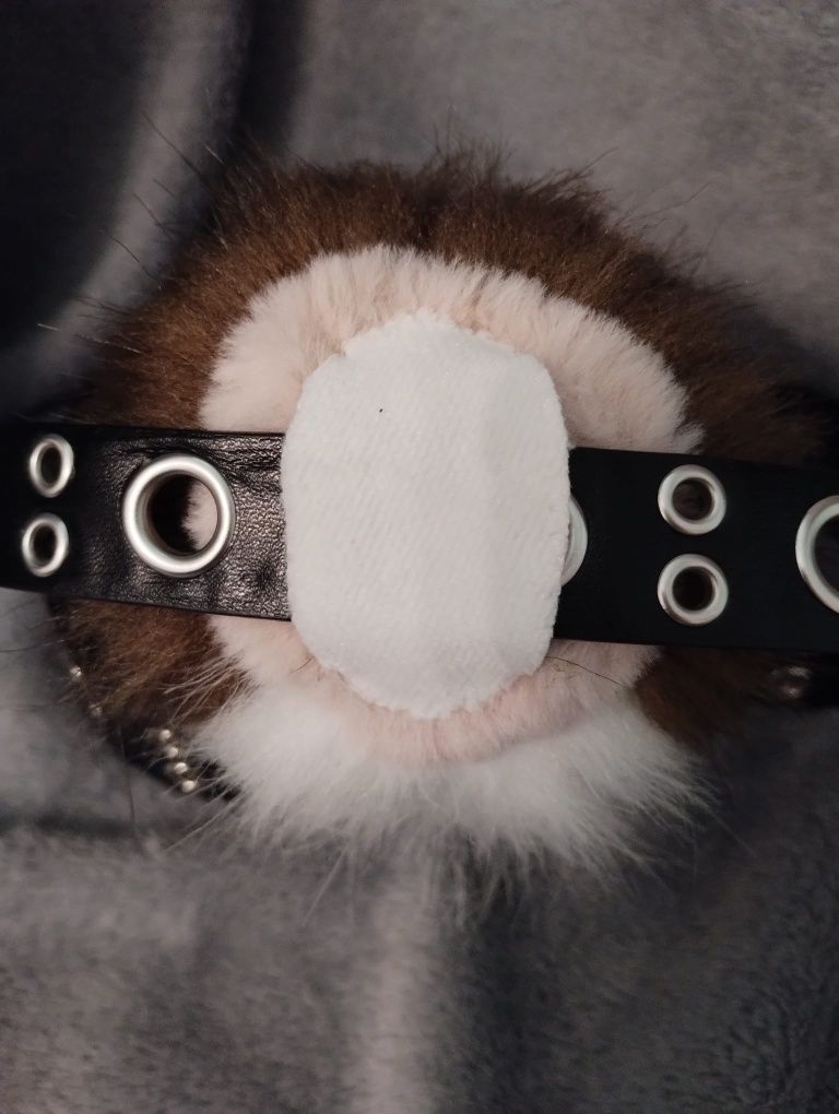 Brązowo biały ogon furry mały