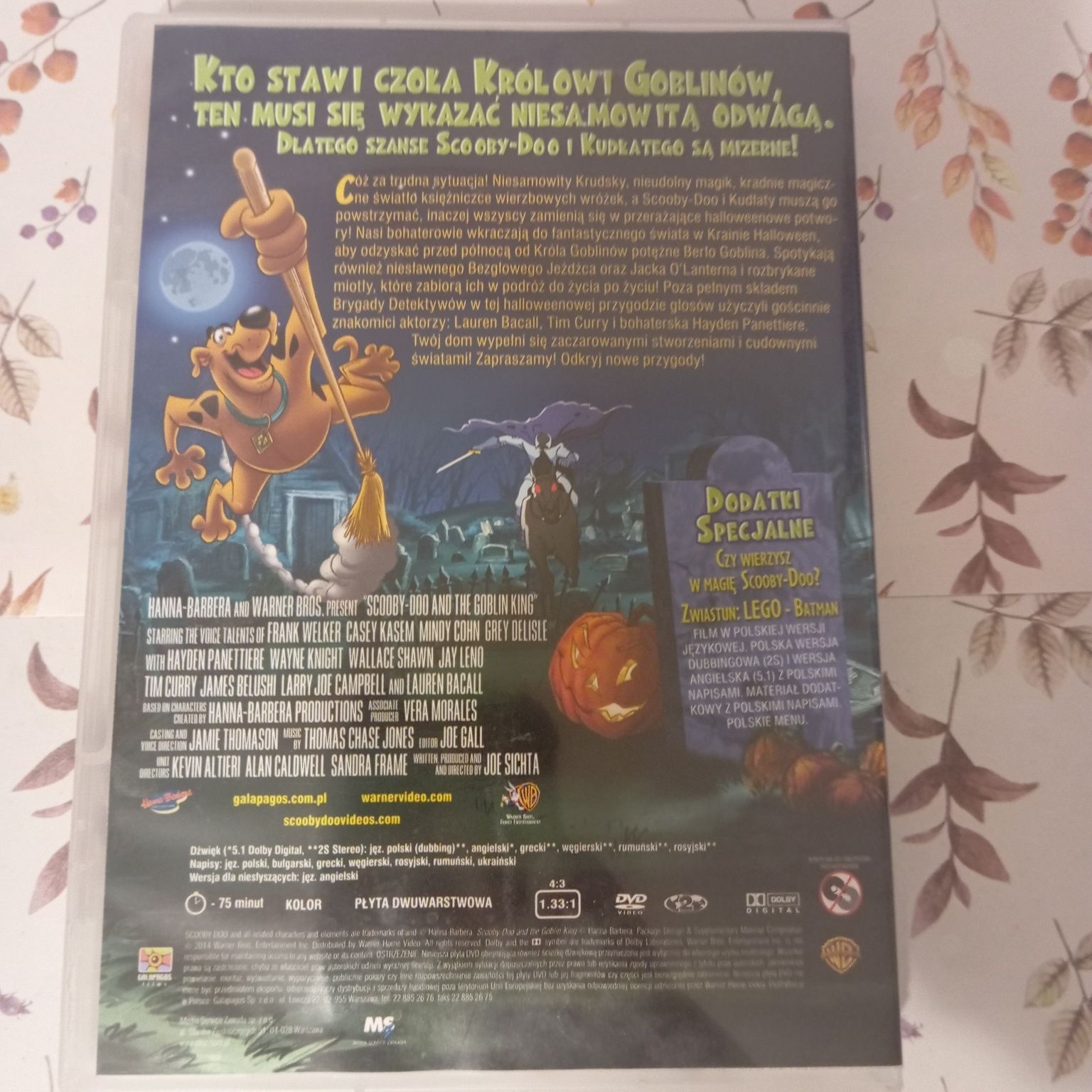Scooby-Doo i król Goblinów, DVD stan dobry, extra cena
