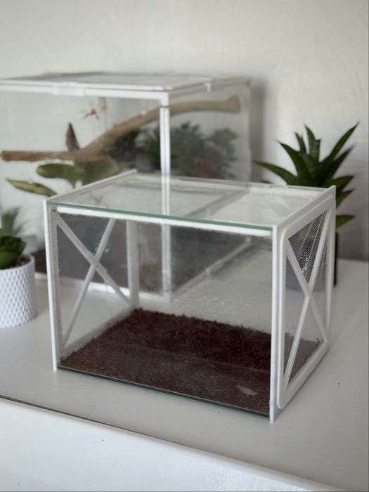 Terrarium wlasnoręcznie robione