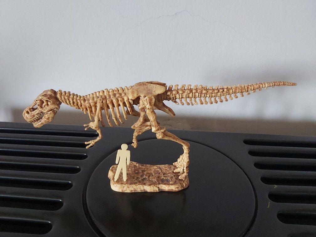 Fóssil T-Rex decoração