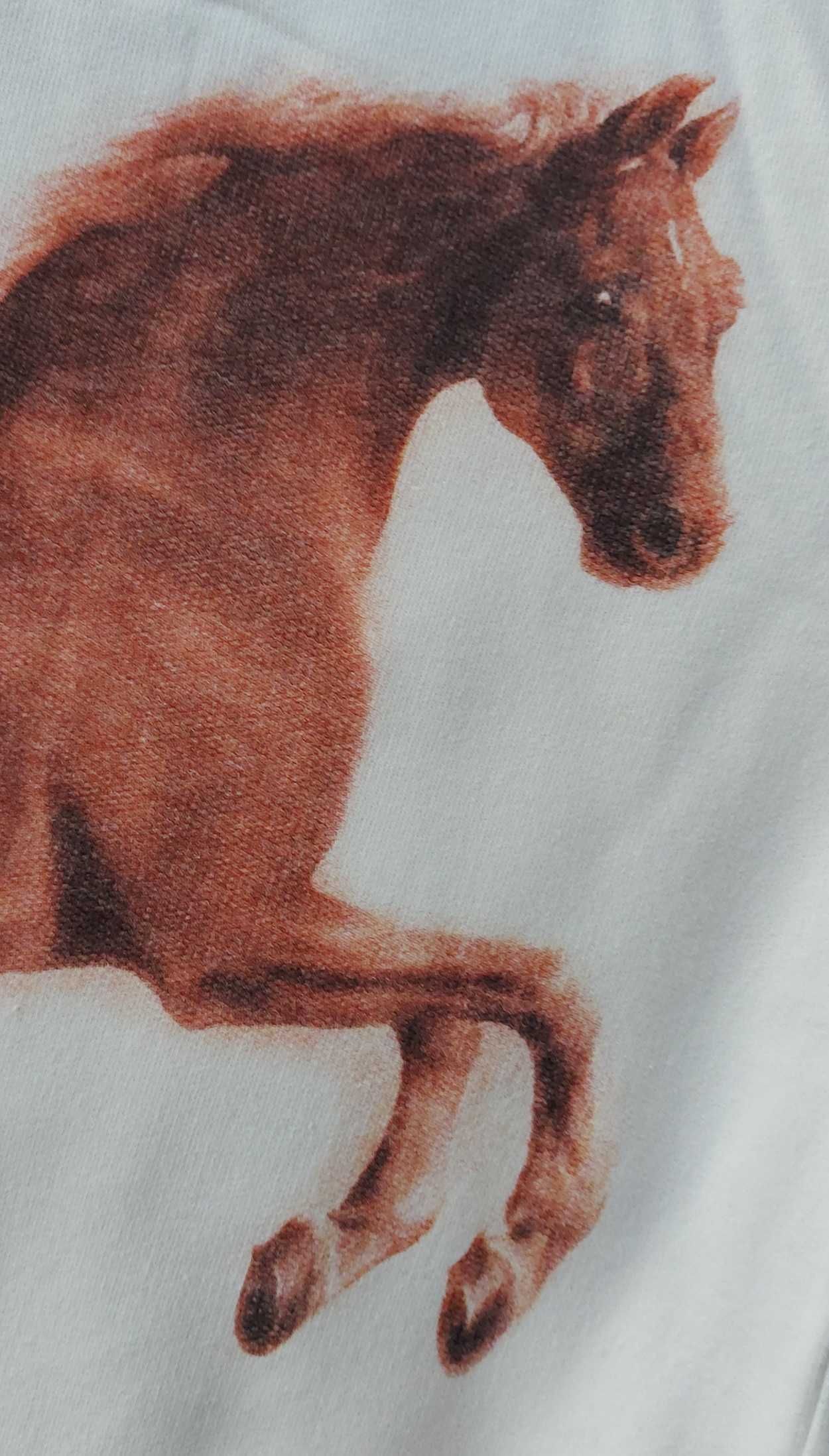 Bluza z koniem obraz Whistlejacket Stubbs dla jeźdźca do stajni