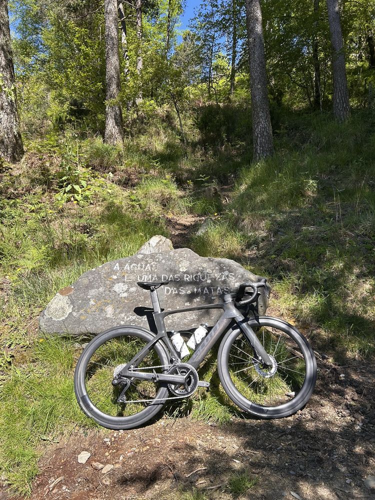 Scott Foil RC 10