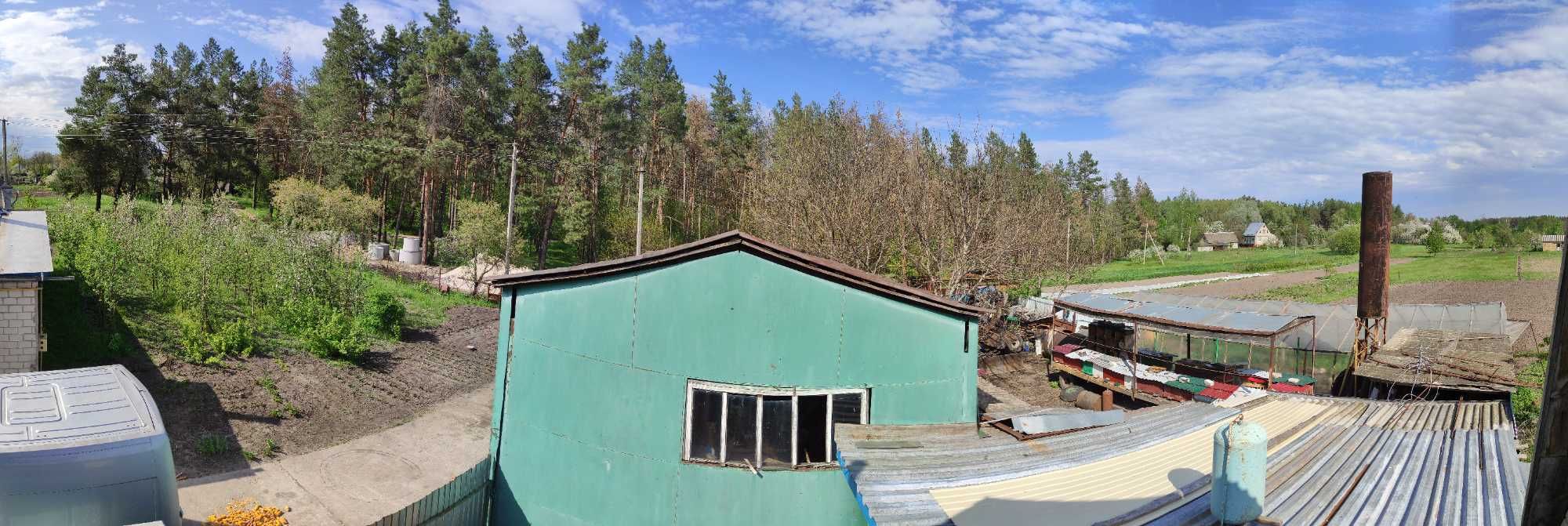 Здається будинок в курортному місці село Келеберда Канівського району