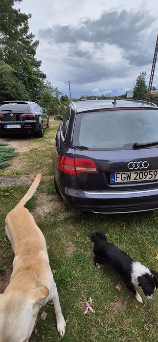Audi A6 C6 3.0 TDI Quattro/manual