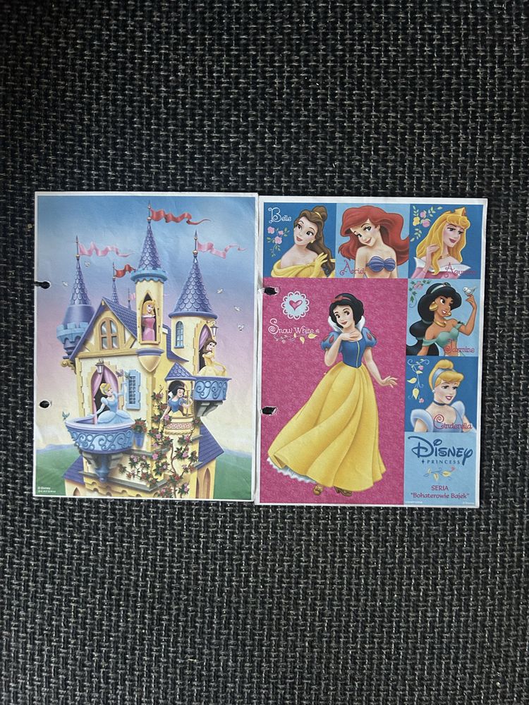 Karteczki Disney