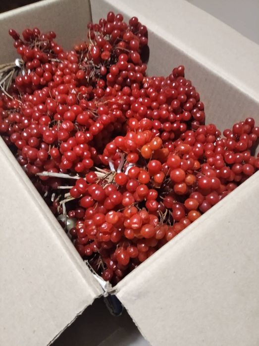 шиповник, барбарис, бояришник.Мята.  ЭКО- 25..