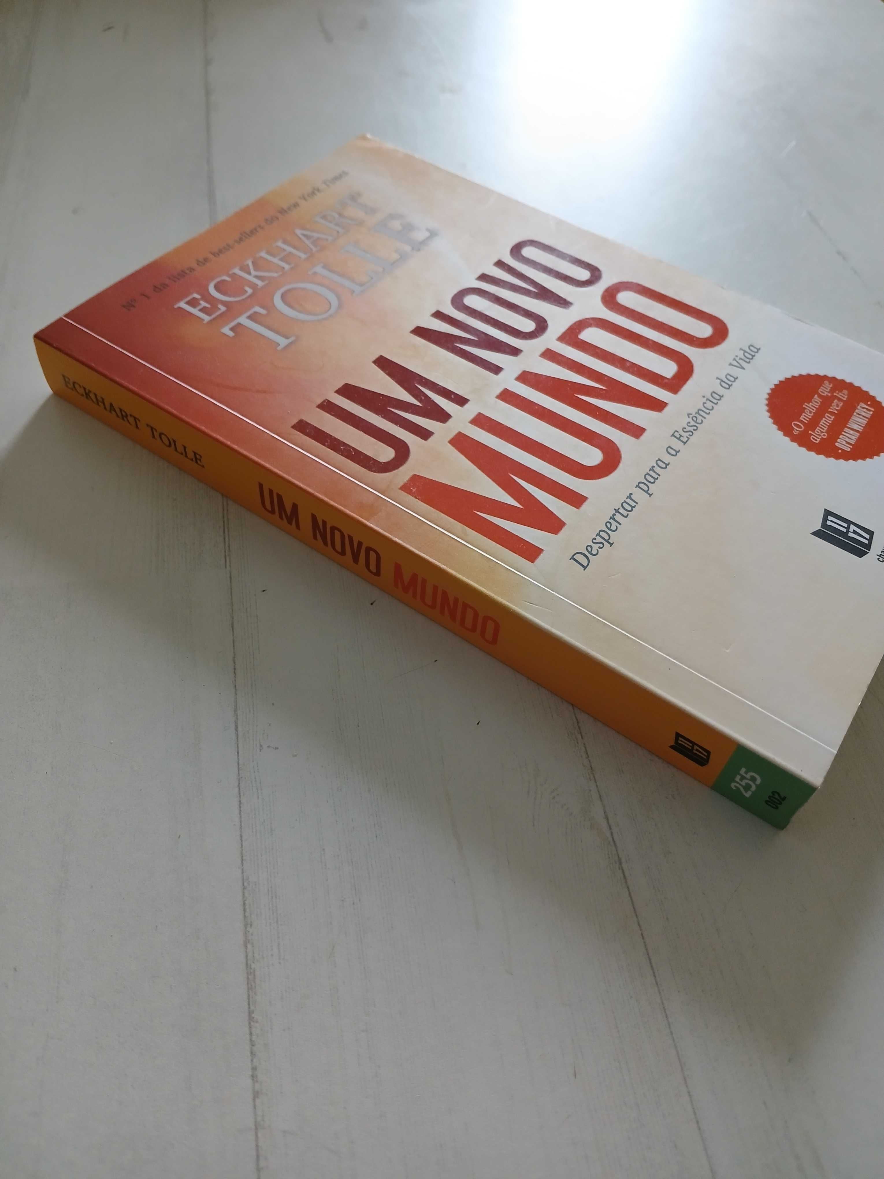 Livro Um Novo Mundo - Eckhart Tolle