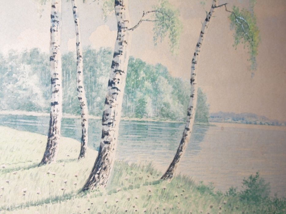 Quadro José Júlio Sousa Pinto