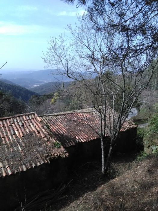 casa em pedra para recuperar -Pomar da serra-Espinhal