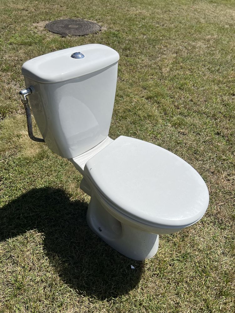 Sedes dolnopłuk koło wc