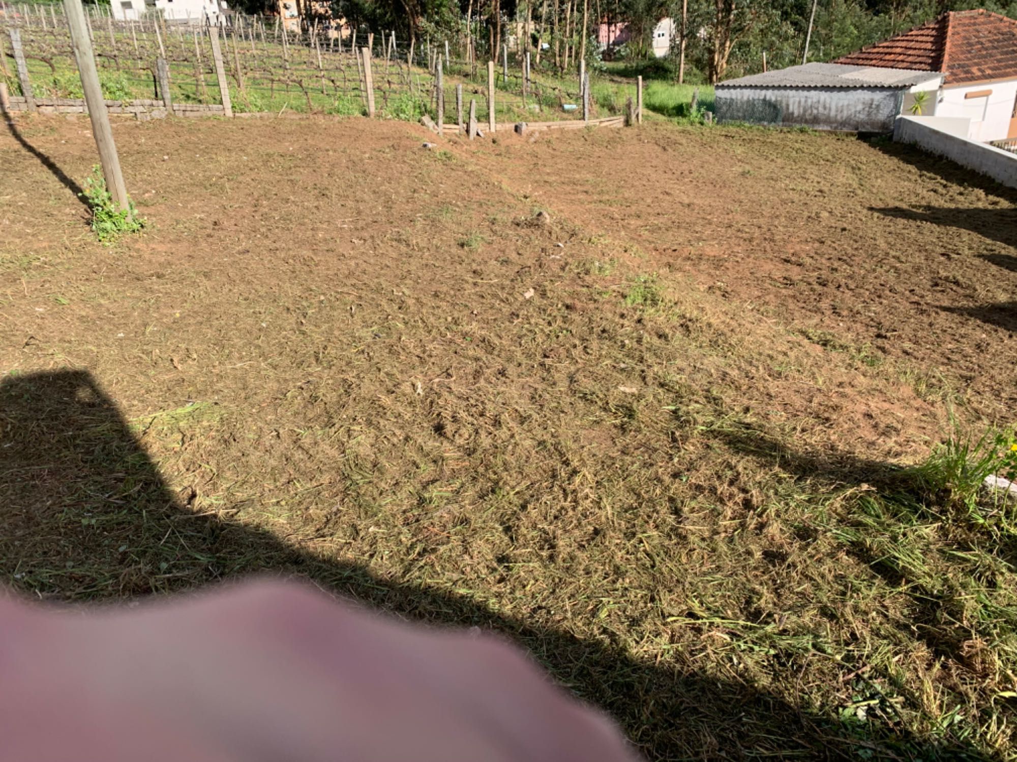 Terreno com casa em ruína.