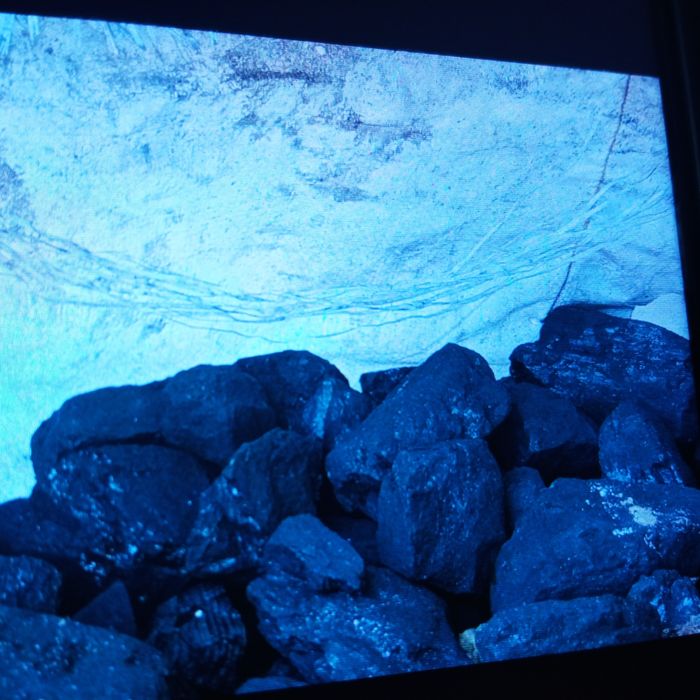 Węgiel Polski Zimowit