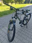 Rower Kross Hexagon M size 19