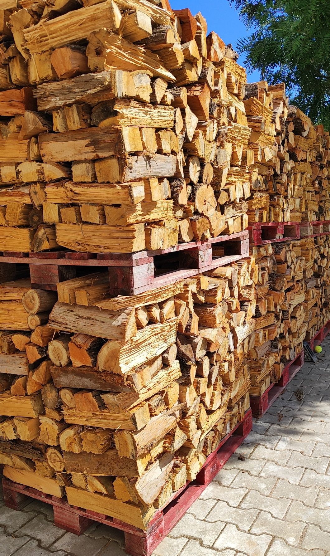 Lenha / Firewood