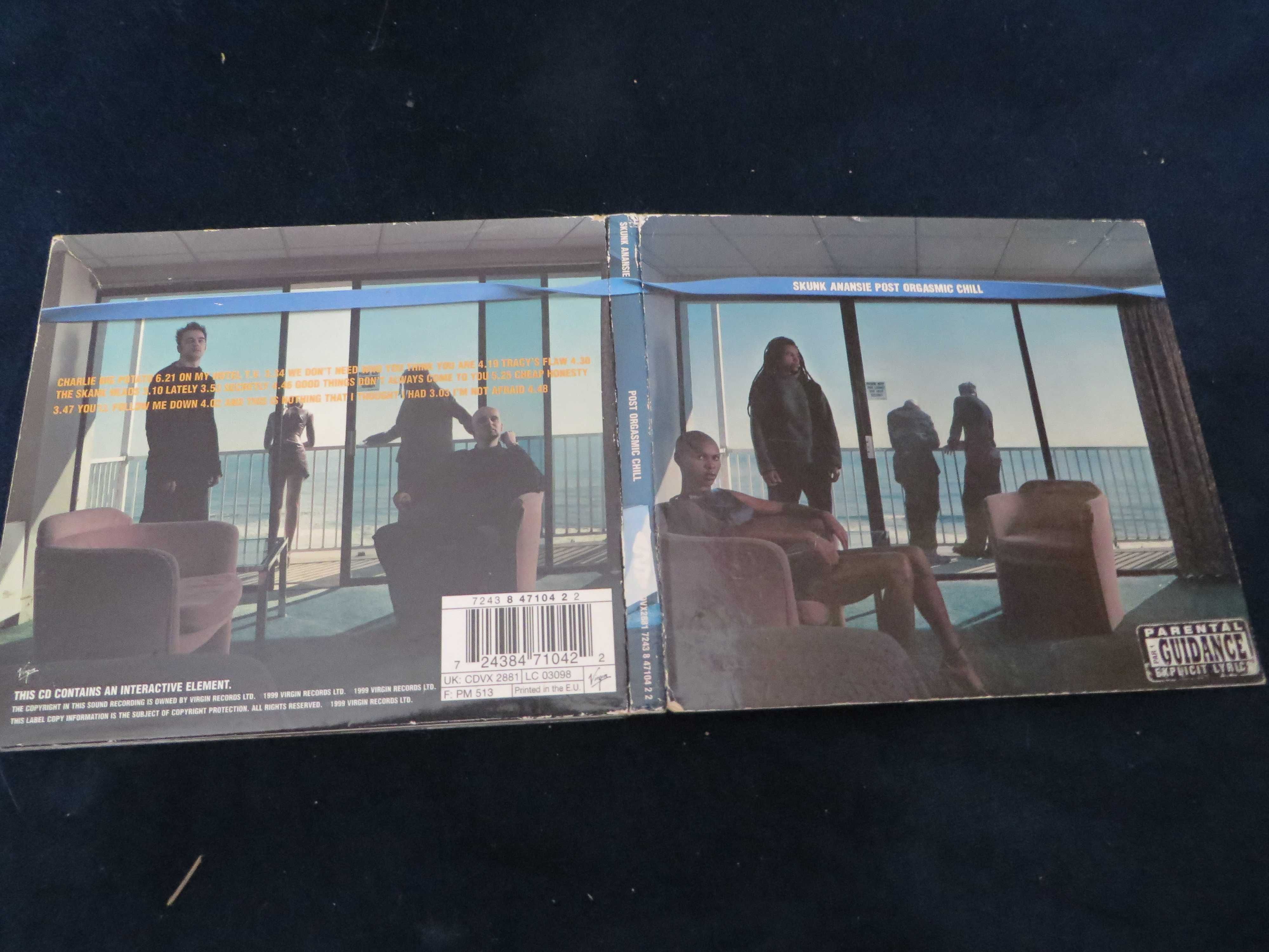 Skunk Anansie - Post Orgasmic Chill - digipack cd