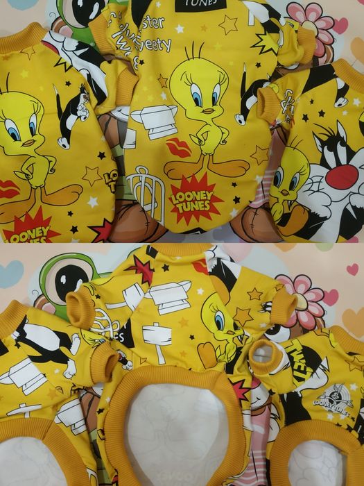 Стильний одяг для собак