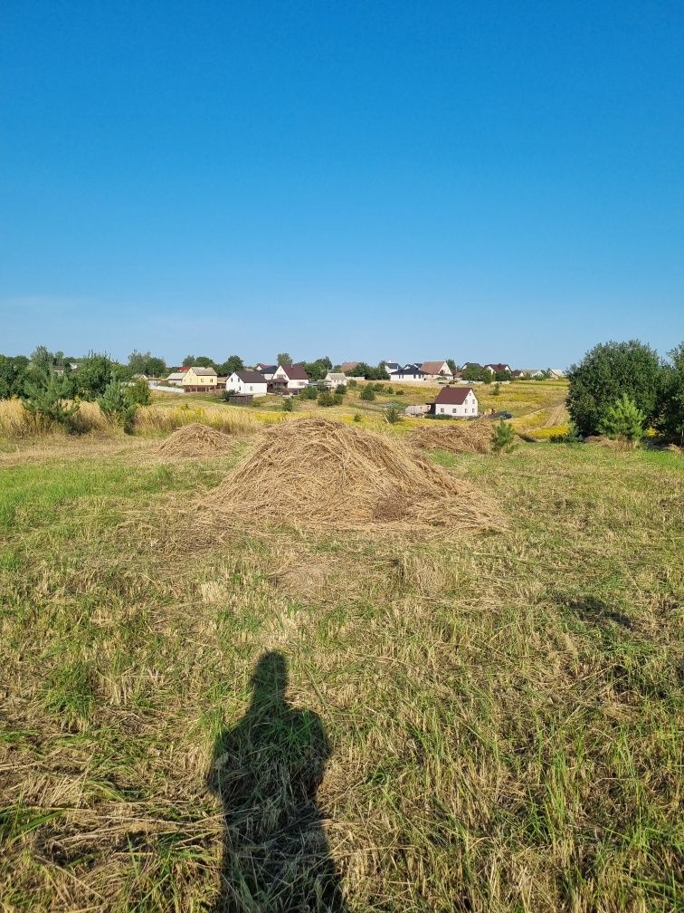 Віддам сіно Безкоштовно