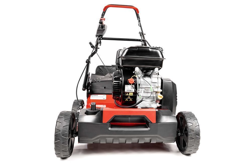 Wertykulator CEDRUS WR01-B Briggs&Stratton 5,5KM + 2 wałki