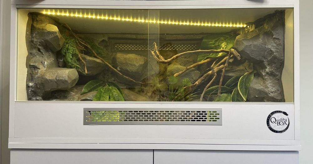 Terrarium dla węża 100x50x50