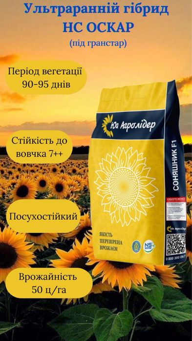 Ультраранній гібрид насіння соняшника НС ОСКАР