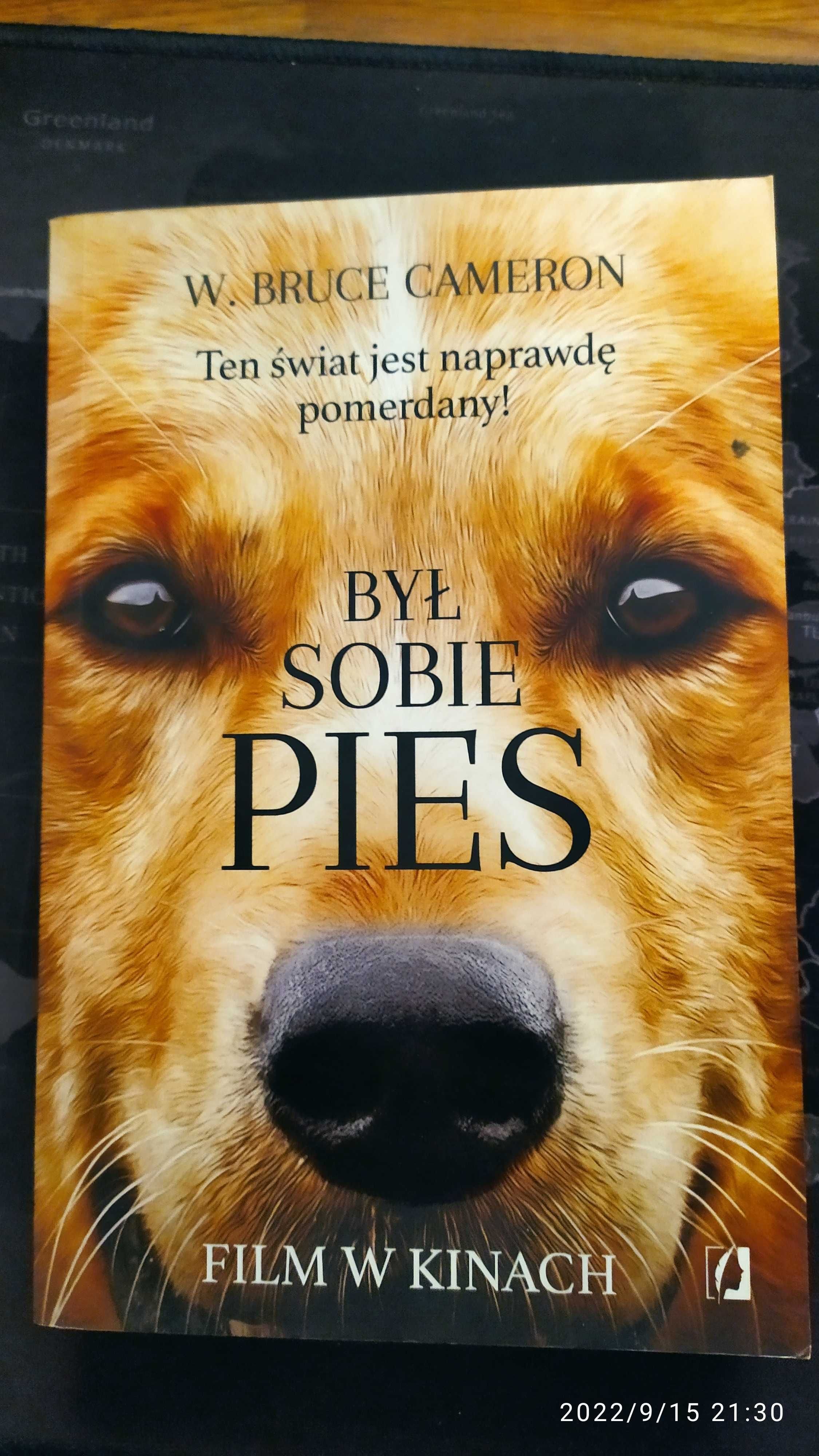 Książka: W.BRUCE CAMERON "Był sobie pies"