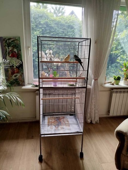 Klatka dla papug i ptaków – elegancka, pojemna, bezpieczna konstrukcja