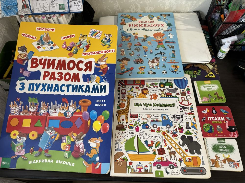 Великі книжки і маленькі книжки